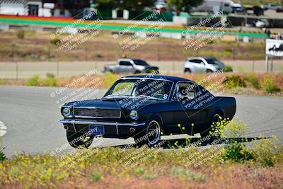 media/Apr-27-2024-LA Shelby Club (Sat) [[ca61902bd2]]/White Group/Session 1 (Turn 2)/